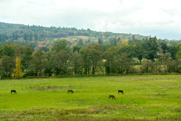 The stunning view from the secluded parkland location of Gartur Estate.